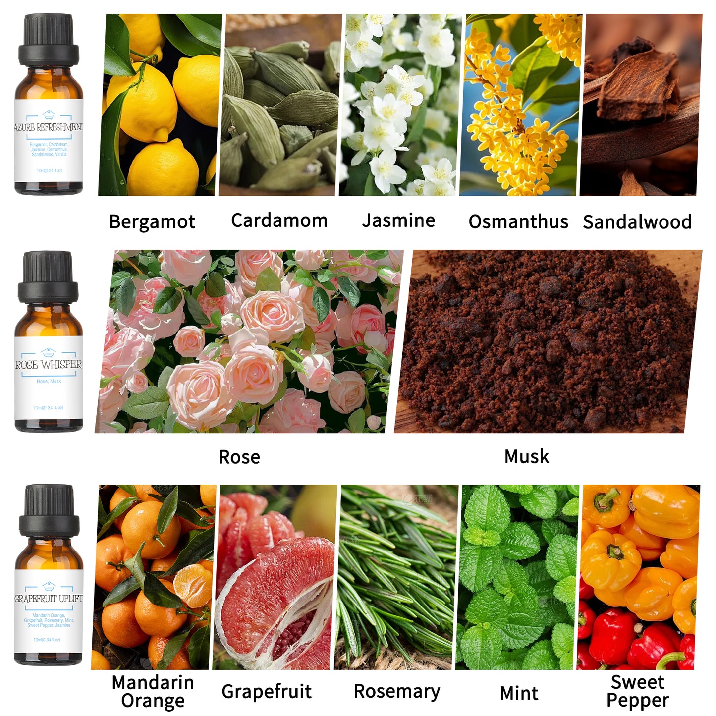 LOXIM Daytime Calm Collection Essential Oil Set