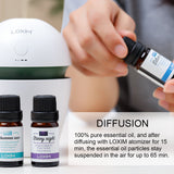 LOXIM Golden Bloom Essential Oil Set Blend (Pure & Natural) Therapeutic Grade Essential Oils for Aromatherapy Diffuser, Skin & Hair Care, Stress Relief